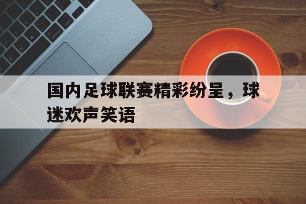 国内足球联赛精彩纷呈，球迷欢声笑语的简单介绍