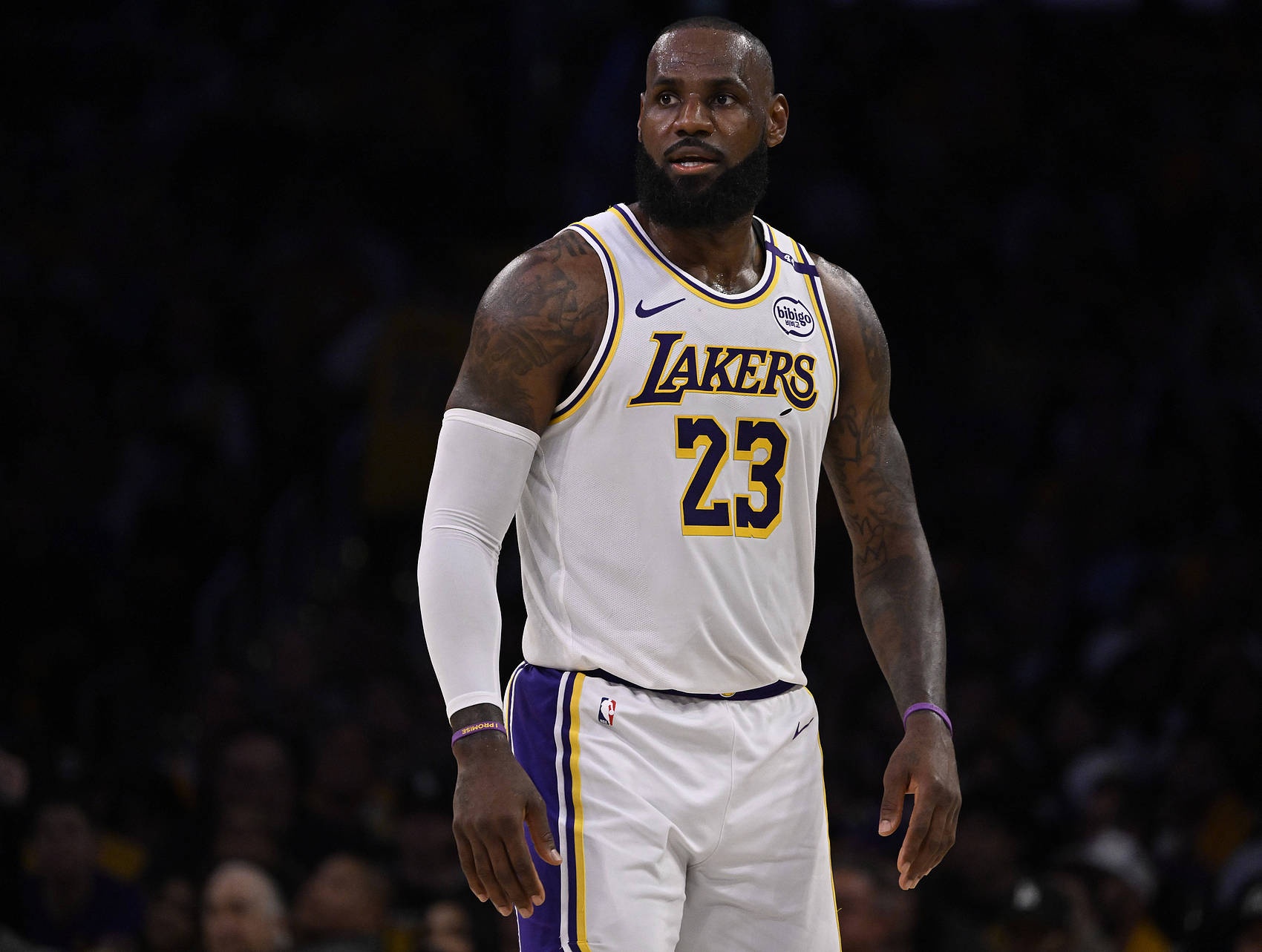 詹姆斯受伤！湖人新冠军之路岌岌可危的简单介绍