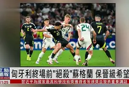 包含瑞士-险胜保加利亚，欧洲杯比赛小组淘汰赛首轮的词条