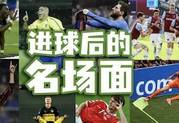 多特蒙德球员庆祝进球，功成身退展望未来(多特蒙德球队队员)