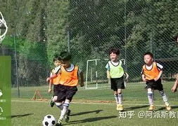 南极洲足球团队挑战极限，独特球风引人注目的简单介绍